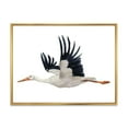thumbnail image 1 of Designart Flying White Stork Ciconia oiseau ART MURAL À CADRE FLOTTÉ, 1 of 4