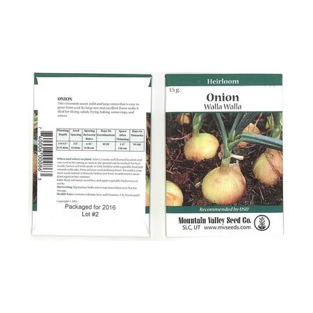 Walla Walla Onion Garden Seeds - 1.5 Gram Packet - Non-GMO, Heirloom Vegetable Gardening