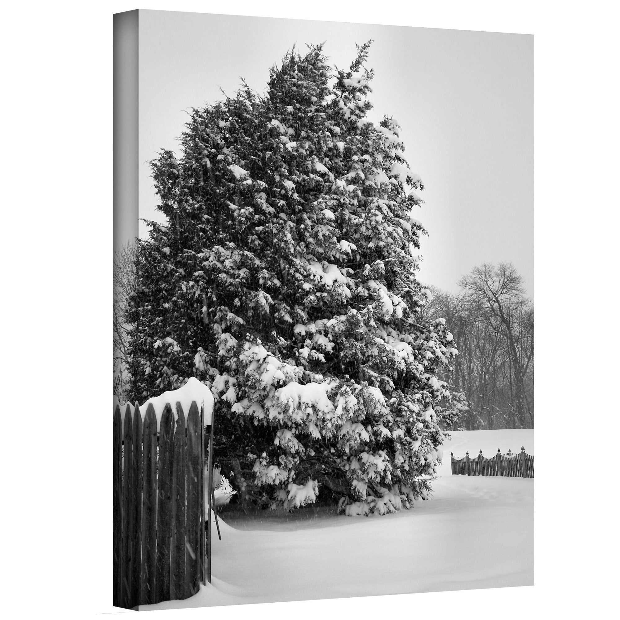 ArtWall Steven Ainsworth "Winter's Silence" Gallery-wrapped Canvas