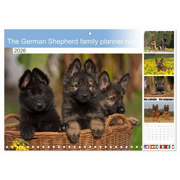 The German Shepherd family planner high (Monthly Wall Calendar 2026 11.7 x 16.5 (open)), CALVENDO 14 Month Calendar