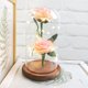 thumbnail image 1 of Xihbxyly Rosa Romántica de Cristal, Vidrio de Borosilicato Alto, Cadena de Luces Alimentada Por Usb, Base de Madera de Pino, Decoración Del Hogar, Regalos de Boda, Sorpresa Navideña, Tamaño 5.71X5.71, 1 of 3