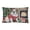 Affenpinscher 1211, variant on Carolines Treasures DAC1227PW1216 16 x 12 in. Unisex White Pit Bull Terrier Christmas Fabric Decorative Pillow