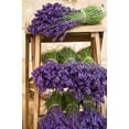 thumbnail image 2 of Lavender Bunches Wall Mural by Wallmonkeys Peel and Stick Graphic (24 in H x 16 in W) WM79904, 2 of 4