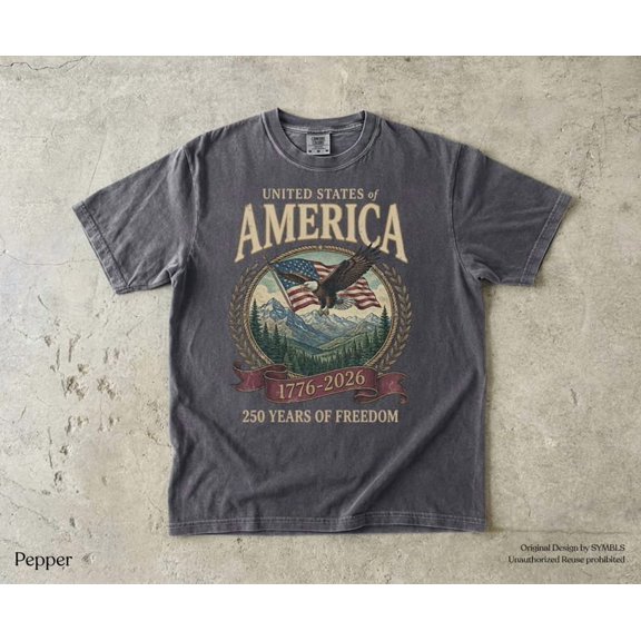 America 250th Anniversary 90s Graphic Style Comfort Colors Tshirt, Y2k Oversized Patriotic USA Streetwear
