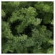 thumbnail image 2 of Árbol de Navidad Naviplastic Boston color Verde de 175 cm, 2 of 3