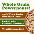 thumbnail image 6 of Organic Whole Unhulled Barley, 20 Pounds - Raw Seeds with Husk Intact. Non-GMO, Kosher Grain., 6 of 8