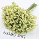 thumbnail image 1 of XmhyTop Ramos de flores artificiales de aliento de bebé de color amarillo, gypsophila, 16 unidades, flores de tacto real para bodas, fiestas, decoración del hogar, 1 of 4