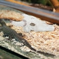 thumbnail image 4 of Hytrove Multifuncional Con Cráneos De Para Terrario De Reptiles En Casa, 4 of 6