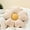 White, variant on COOKCOK Flower Pillow, 19.7" Flower Shaped Throw Pillow, Daisy Plush Floor Pillow Seat Cushion Cute Aesthetic Decorative Throw Pillows for Bed Home Sofa Chair Couch Decor, Green