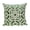 Beige & Green Lattice, variant on White and Gray Lattice Velvet Throw Pillow