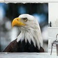 thumbnail image 1 of Ambesonne Eagle Shower Curtain, Freedom United States, 69"Wx70"L, Dark Brown Marigold Blue, 1 of 3