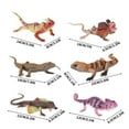 thumbnail image 2 of Students Toy, Plastic Reptile Figures, 3-7 In, Play Set, Students Party Favors, Birthday Party Favors, Caterpillar, Chameleon, 6 Set, Multi Colored, 2 of 6