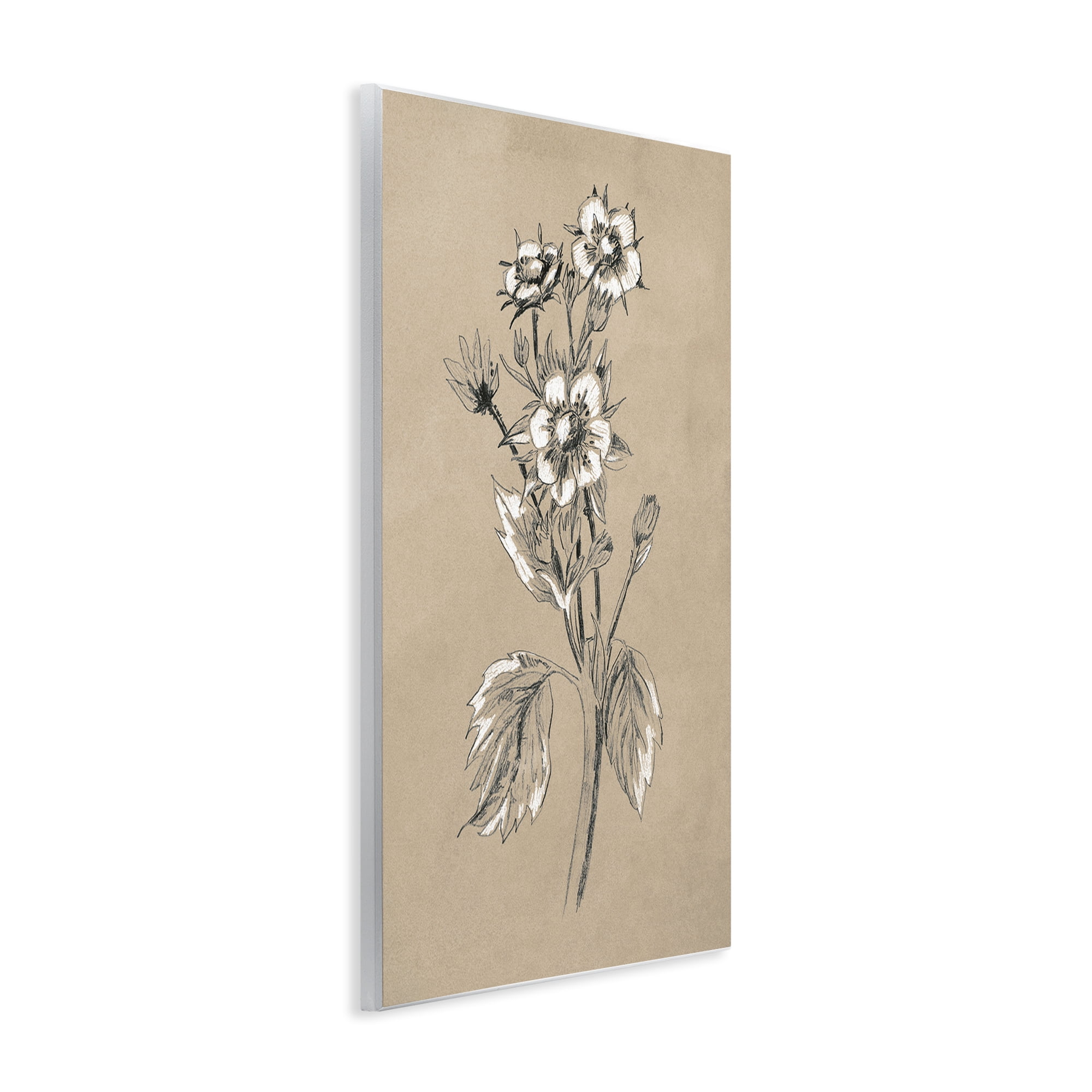 Stupell Industries Apple Blossom Drawing Botanical & Floral Drawing Unframed Art Print Wall Art, 10 x 15