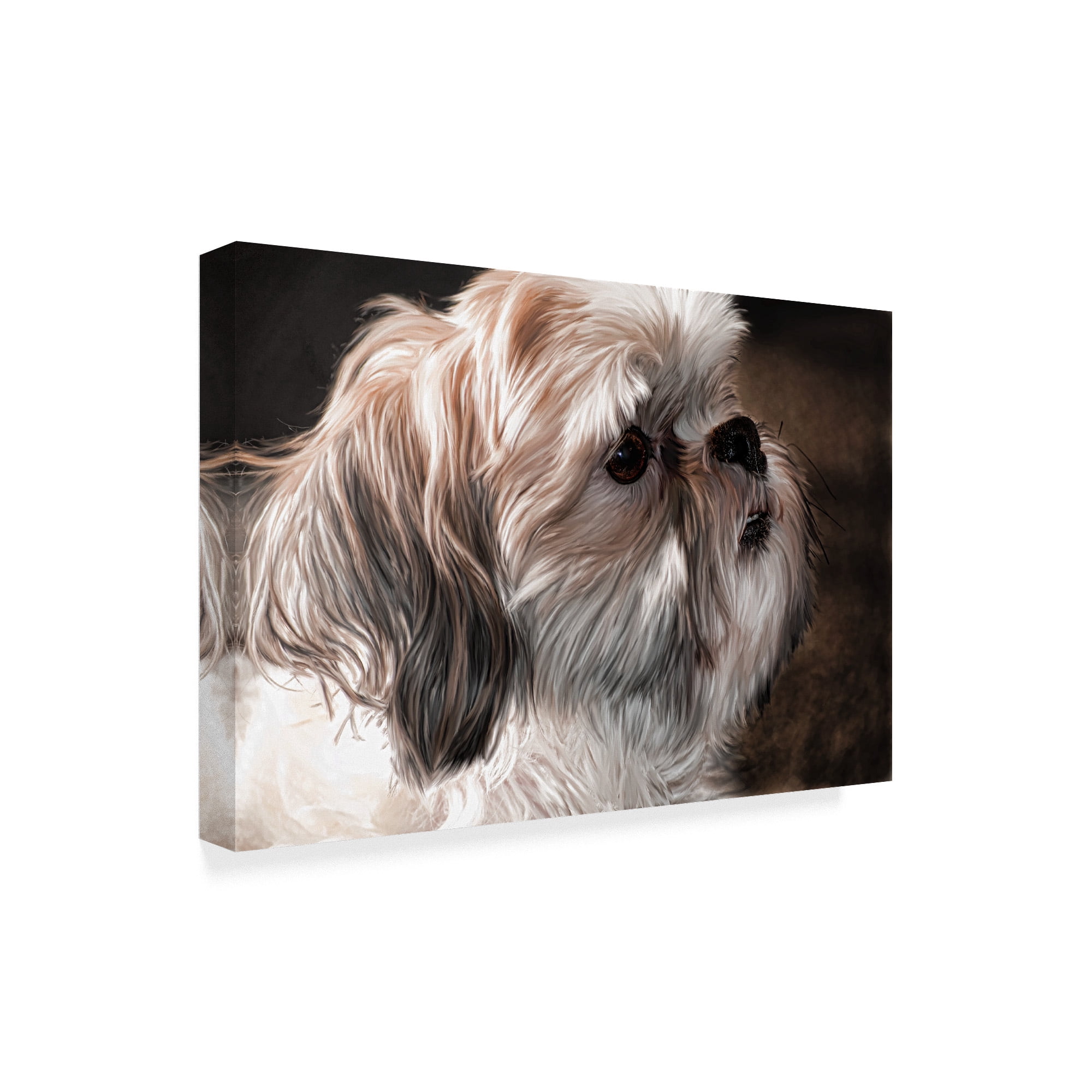 Trademark Fine Art 'Llahso Apso' Canvas Art by Lori Hutchison