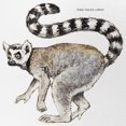 thumbnail image 2 of CafePress - Ring Tailed Lemur - Adjustable Unisex Printed Trucker Hat with Mesh Back, 2 of 8