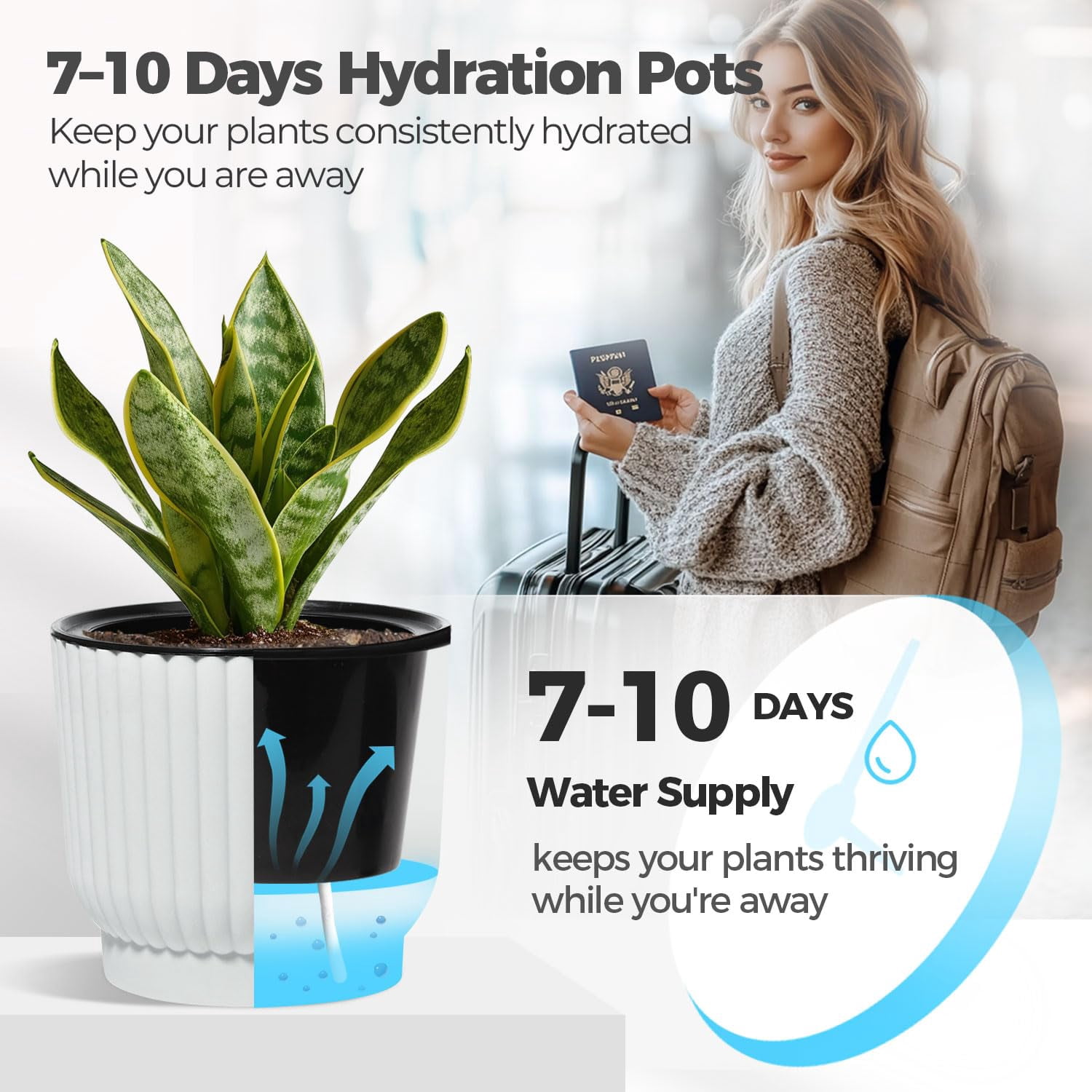 4 Inch Self Watering Plant Pots 6 Pack Small Indoor Planters for African Violets Succulents Durable White Plastic Gardening Containers