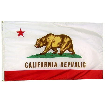 Nylon California State Flag - California State Flag 3x5 ft. Nylon Official State Design Specifications.