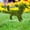 A, variant on Resin Flocked Dog Garden Statue, Funny Peeing Puppy Topiary Ornament, Weatherproof Green Moss-Like Yard Decor, For Lawn, Patio & Gag Gifts