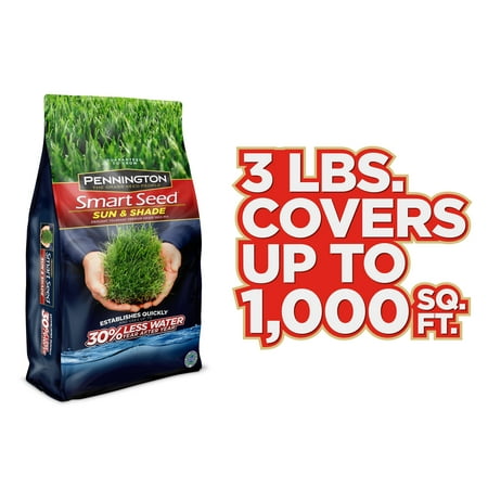 Pennington Smart Seed , for Sun & Shade Grass Seed, 3 (Best Bermuda Seed For Shade)