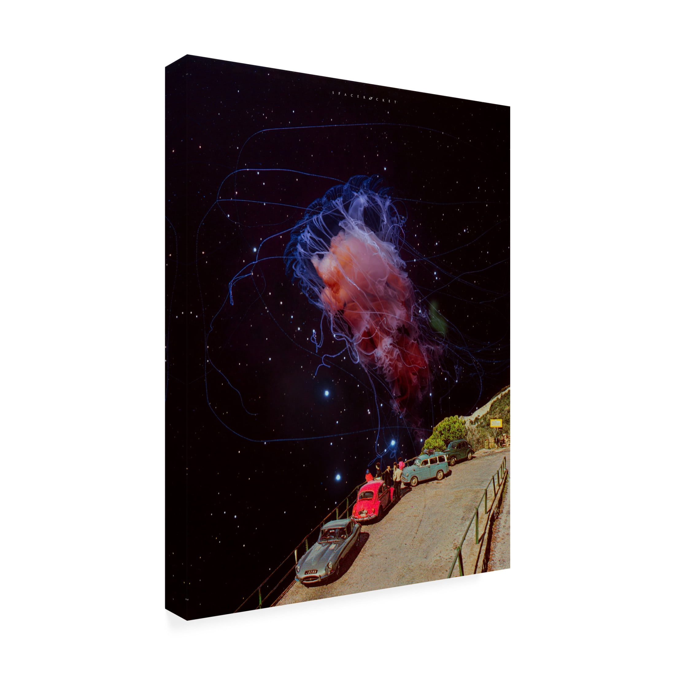 Trademark Fine Art spacerocket art  487 Canvas Wall Art