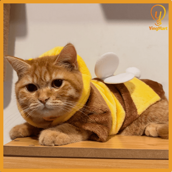 Plush Teddy Bear Costume for Cats Dogs Small Medium Large Halloween YingMart Cosplay (BeeTransformation, XSBust30cm)