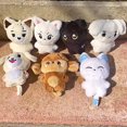 thumbnail image 2 of Kpop Peluche JUNGWON HEESEUNG JAY JAKE SUNGHOON Juguetes de peluche Llavero Kawaii Dibujos animados Colgante Accesorios Bolsa Regalo para Fans, 2 of 5
