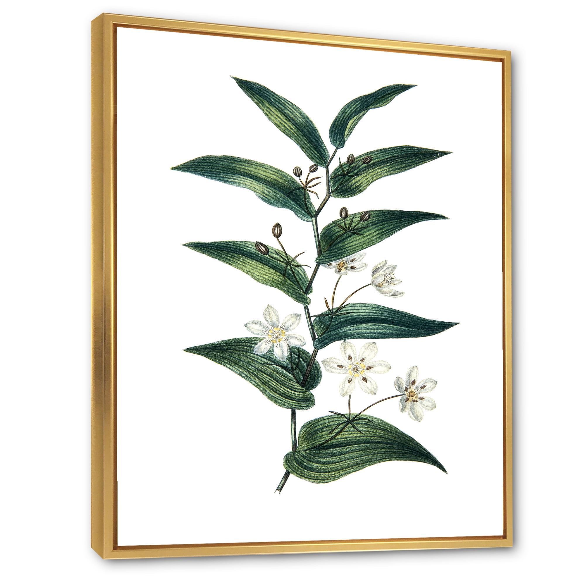 Designart 'Little White Flowers With Ancient Plant' Farmhouse Framed Canvas Wall Art Print
