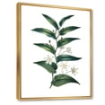 thumbnail image 3 of Designart 'Little White Flowers With Ancient Plant' Farmhouse Framed Canvas Wall Art Print, 3 of 5