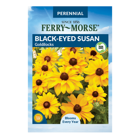 Ferry-Morse 12MG Black-Eyed Susan Goldilocks Perennial Flower Seeds Packet- Seed Gardening, Full Sunlight