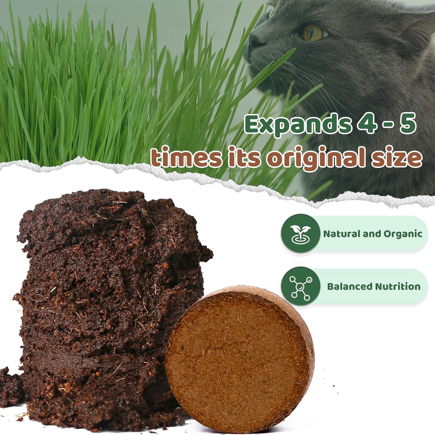 Organic Potting Soil for Indoor Cat Grass, Great Seedling Soil for Wheat Grass, Bermuda, Catnip, and All Indoor Herb Plants