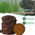 thumbnail image 3 of Organic Potting Soil for Indoor Cat Grass, Great Seedling Soil for Wheat Grass, Bermuda, Catnip, and All Indoor Herb Plants, 3 of 3