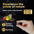 thumbnail image 5 of Balincer Pure Himalayan Shilajit Herbal Gold Gummies, for Energy & Vitality, 3000 mg, 80 Count, 5 of 7