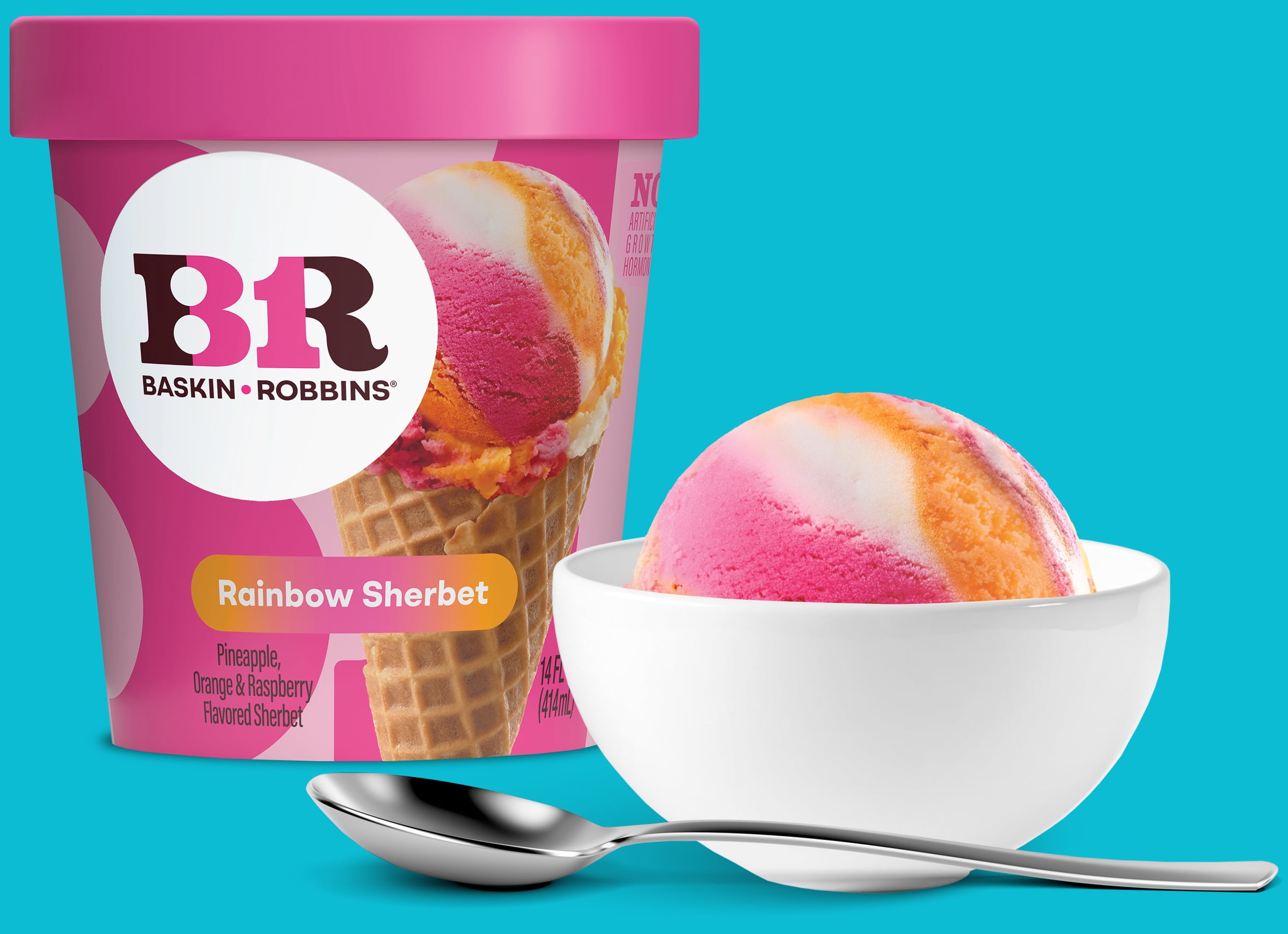 Baskin Robbins Rainbow Sherbet 14 fl oz Cup Pineapple Orange