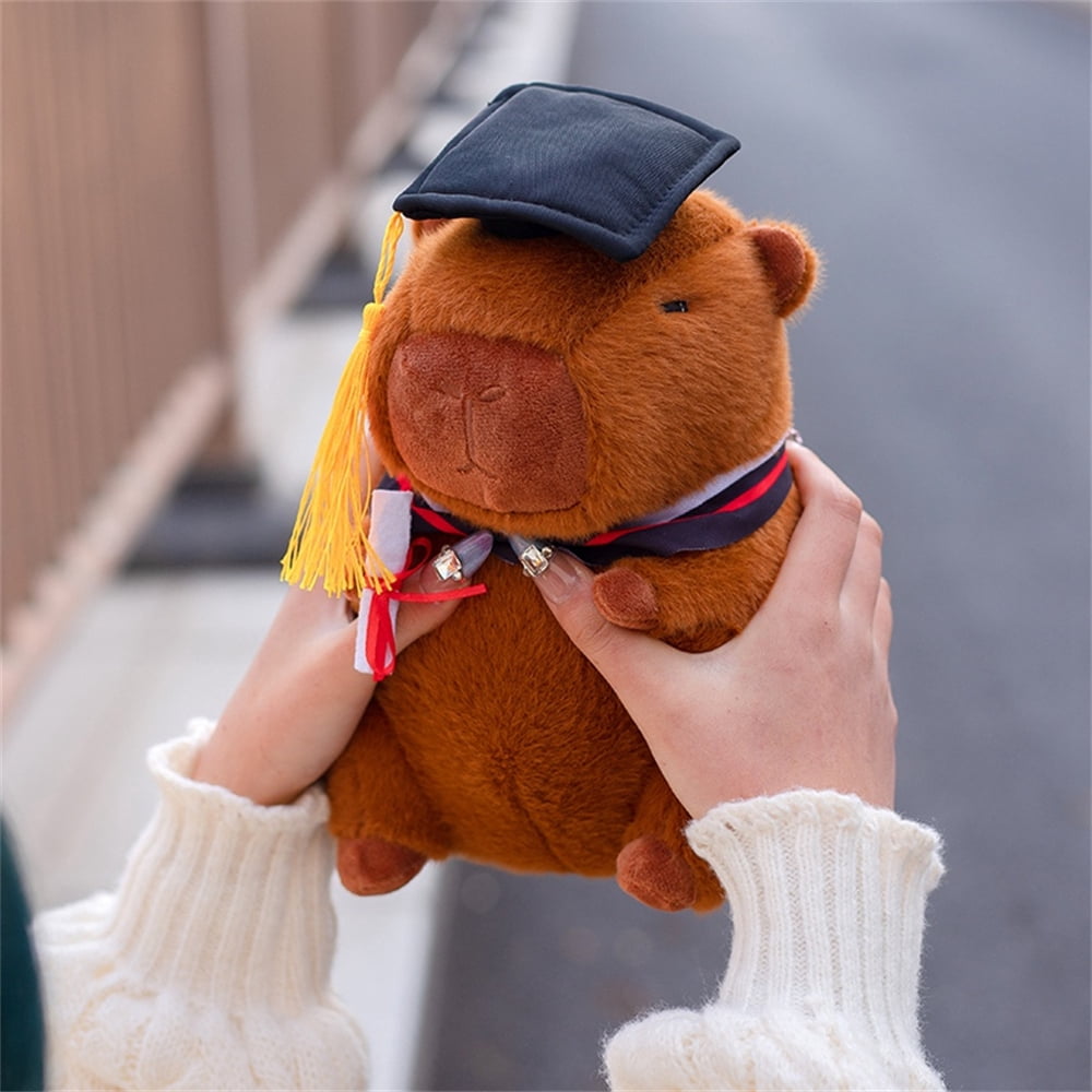 8.66" Dr. Capybara Plush Toy Adorable Fluffy Capybara Plush Toy, Hypoallergenic Gift for Medical Students, Doctors and Kids