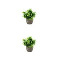 thumbnail image 4 of kurtrusly Realistic Artificial Succulent Low Maintenance Elegant Easy To Clean Artificial Money Tree In Pot new blue babysbreath 2Set, 4 of 6
