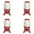 thumbnail image 1 of Little Giant 60 Pound Feed Heavy Duty Poultry Chicken Gravity Feeder (4 Pack), 1 of 7