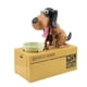 thumbnail image 5 of Alcancía peculiar y peculiar con forma de perro que come dinero, alcancía con forma de perro que roba dinero, perro obsesionado con el dinero, gato, perro del dinero, alcancía con forma de caja, 5 of 6