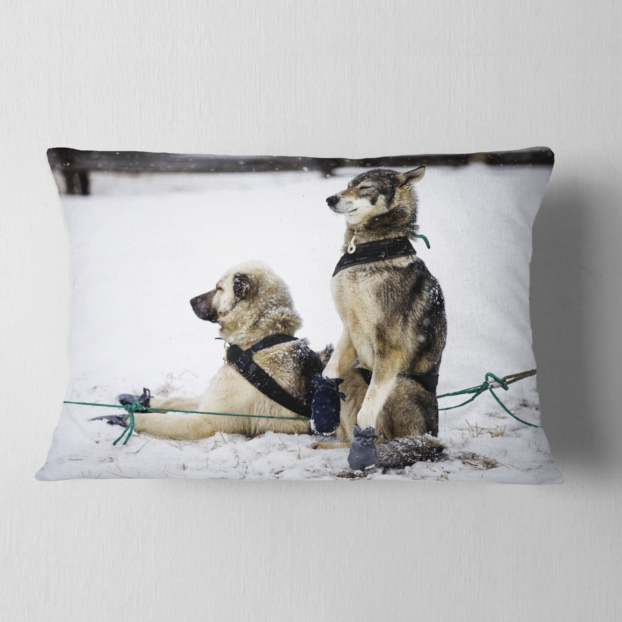 Designart Large Sled Dogs Relaxing - Animal Throw Pillow - 12x20