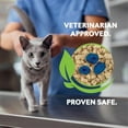 thumbnail image 5 of World's Best Cat Litter Boosters Health Check-In™ | Health Monitoring Cat Litter Additive | 12g ( 3 Pack ), 5 of 8