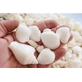thumbnail image 2 of 2 Lbs (8 Cups) White Shell Mix (Medium Size Shells) for Beach Wedding, Coastal Cottage, Vase Filling and Ocean Crafts, 2 of 3