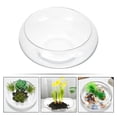 thumbnail image 4 of Glass Planter Pot Glass Succulents Pot Small Flowerpot Small Planter Container Clear Fish Bowl, 4 of 9