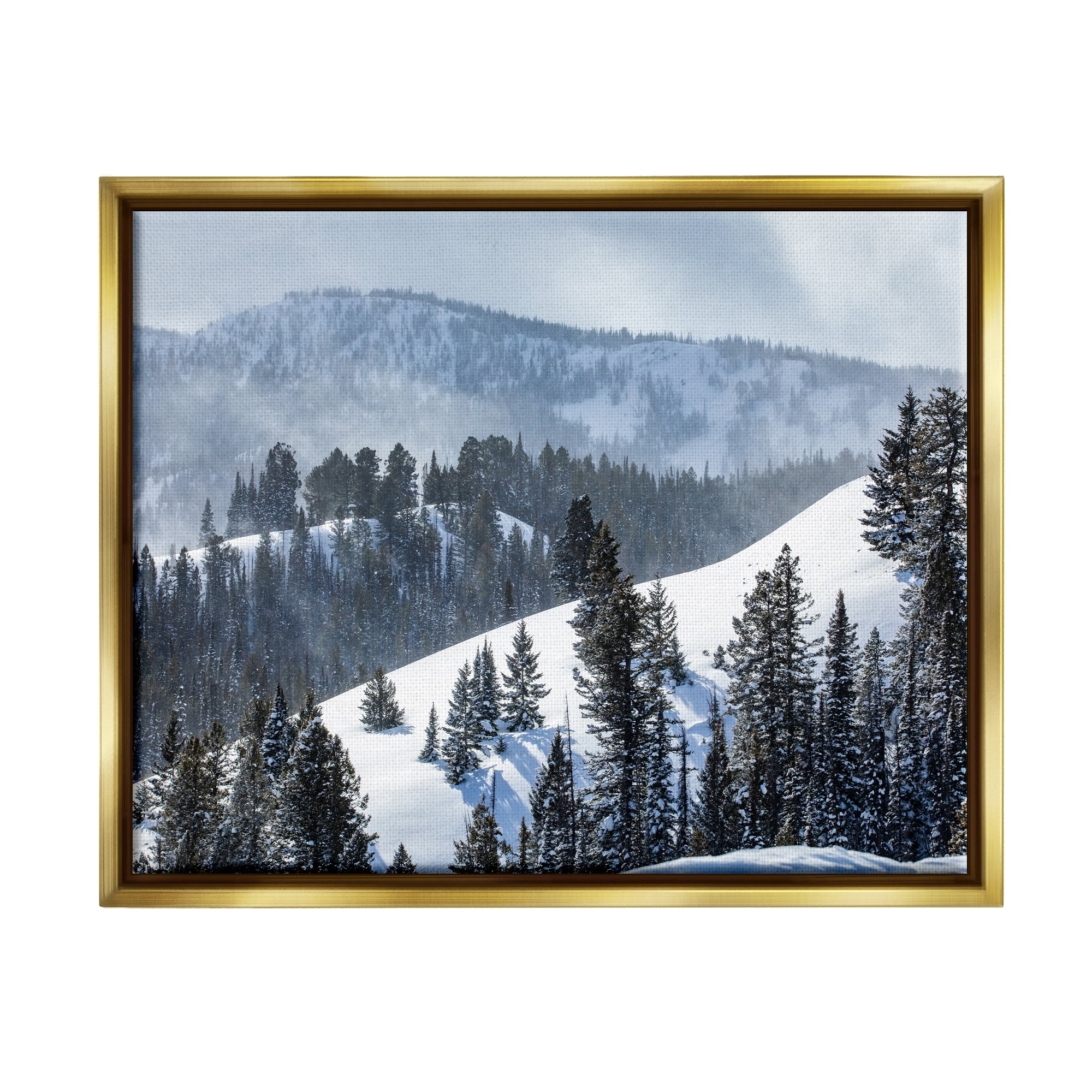 Stupell Industries Quiet Snowy Mountain Slopes Scattered Fir Trees Photograph Metallic Gold Floating Framed Canvas Print Wall Art, Design by Steve Smith
