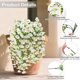 thumbnail image 5 of Crrynuo - Planta artificial - Planta colgante artificial - Blanca - 2 piezas - Decoración para interiores y exteriores - Resistente al agua, 5 of 6