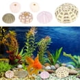 thumbnail image 3 of 6pcs Sea Urchin Decors Aquarium Decorations Sea Urchin Ornaments Desktop Decors Mixed Style, 3 of 6