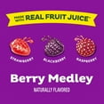 thumbnail image 4 of Black Forest Fruit Flavored Snacks Juicy Burst, Berry Medley, 17.6 oz Box, 22 Count, 4 of 9