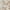 Gold/Multicolor, variant on Nourison Astra Machine Washable Bohemian Grey/Blue 5'3" x 7' Area Rug, (5x7)
