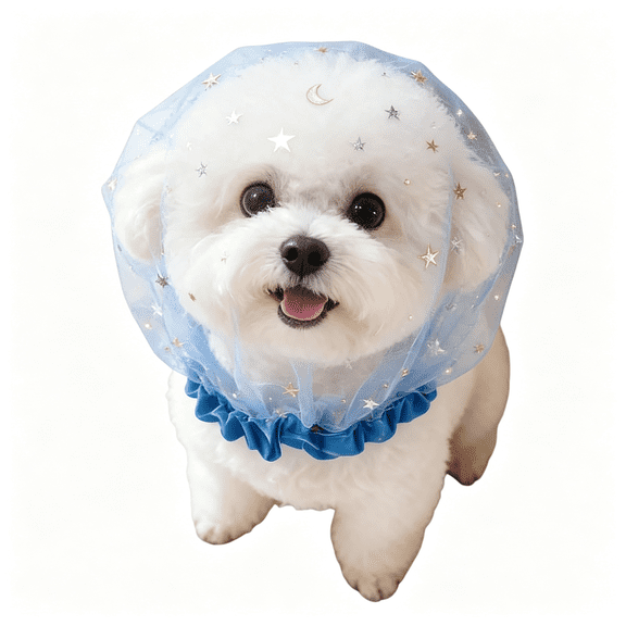 GASTROPOD 5 Pcs Pet Anti-Scavenging Muzzle Safety Breathable Mesh Lightweight Mask for Dogs and Cats,Prevents Eating Foreign Objects Outdoors,Size Xxs Dog Mask (Blue)