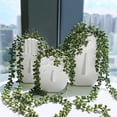thumbnail image 3 of Nature Comfort String Of Pearls Plant Artificial, Easy Install Use High-grade Plastic Lifelike Artificial Hanging Succulents, Indoor Greenery For Home Or Shop, Maintenance Free (4 Pcs), 3 of 7