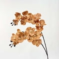 thumbnail image 6 of Artificial Orchid Flowers 9 Large Heads of Real Touch Vivid Phalaenopsis Orchid Flower Stem 27.2" Tall, Artificial Flowers Branches for Home Decor, Office House Decoration-Purple Phalaenopsis, 6 of 6