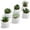 White (Set of 6), variant on Assorted Artificial Red Succulent Plants, Mini Fake Desert Plants in White Square Pots, Set of 3